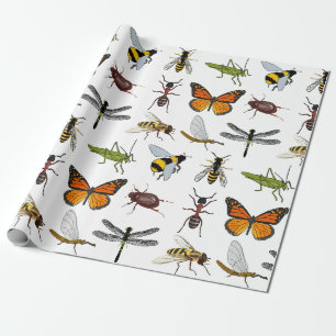 Papier Cadeau INSECTES FRAIS de papier d'emballage