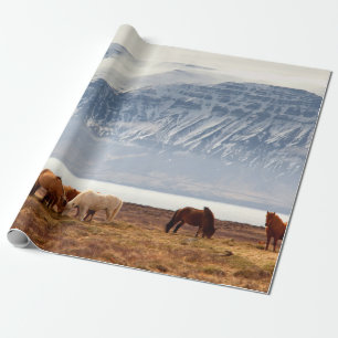 PAPIER CADEAU ISLANDE