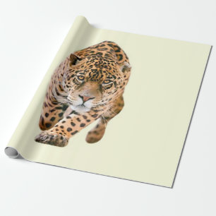 Papier Cadeau Jaguar Eyes