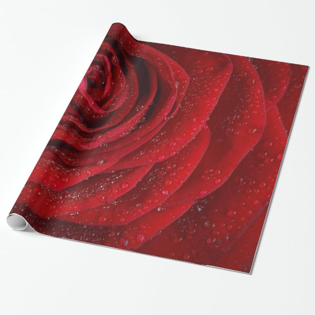 Papier Cadeau Jardin Abstrait de Roses Rouges Élégant Floral (Déroulé)