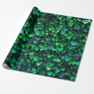 Papier Cadeau Jardin intérieur de la jungle urbaine
