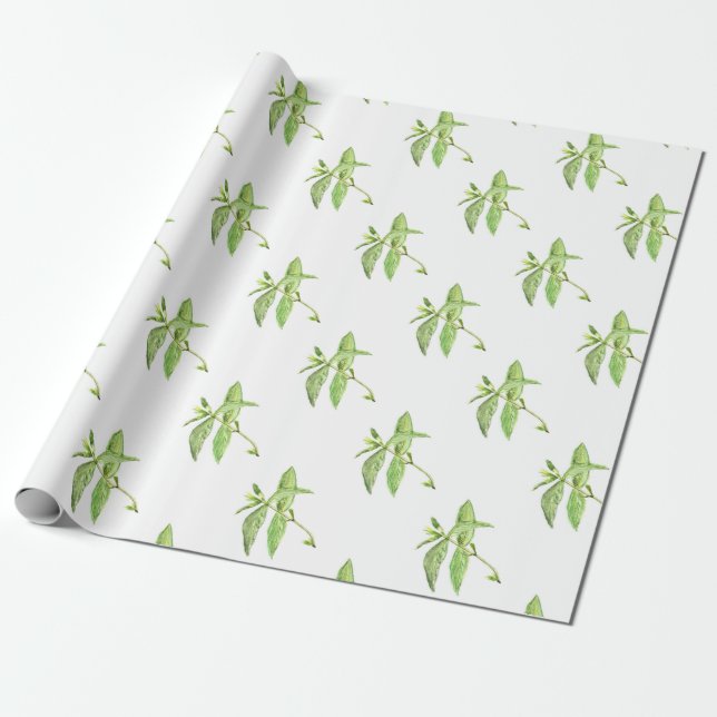Papier Cadeau Jardin verdoyant plante d'herbe à menthe (Déroulé)