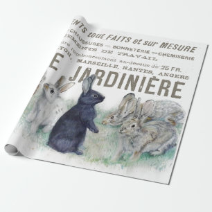 Papier Cadeau Jardin Vintage Lapin Rabbit Découpage
