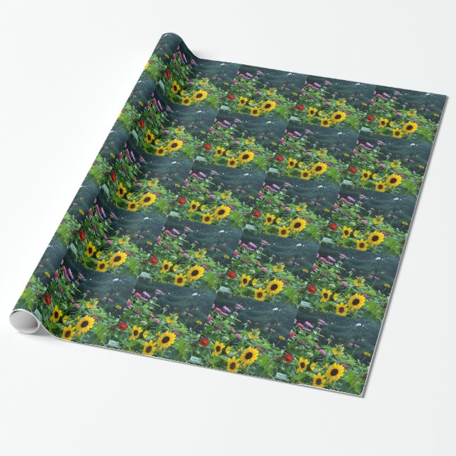 Papier Cadeau Jardin Vue tournesols marguis cosmos (Déroulé)