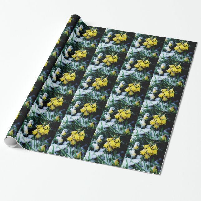 Papier Cadeau Jaune Daffodils fleurs dans la neige (Déroulé)