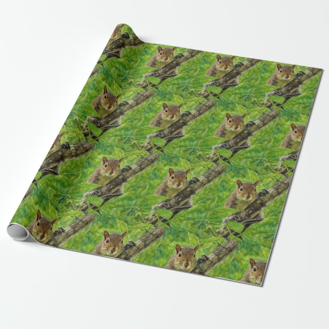 Papier Cadeau Je Vous Vois Écureuil (Déroulé)