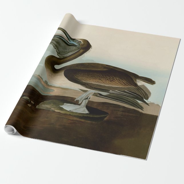 Papier Cadeau John James Audubon Peinture Pélicane Brown (Déroulé)
