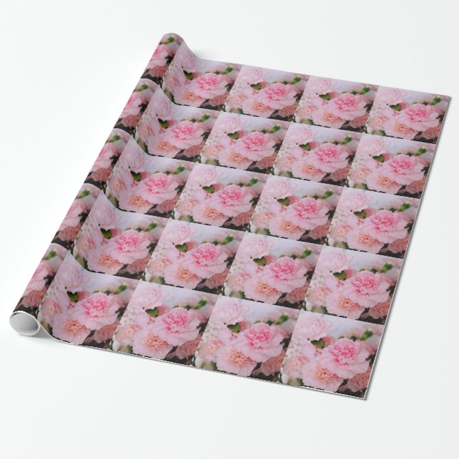 Papier Cadeau Jolie photographie de fleur d'oeillet rose. (Déroulé)