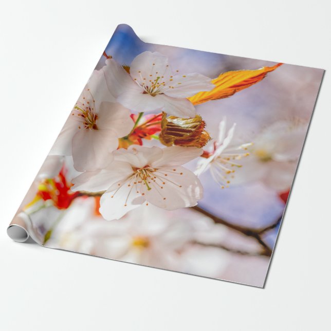 Papier Cadeau Jolies Et Élégantes Fleurs Sakura (Déroulé)