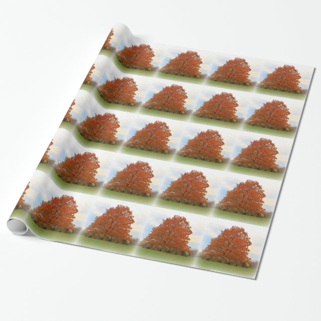 Papier Cadeau Jour d'automne (Déroulé)