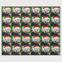 Joyeuses Fêtes de Red Panda Père Noël