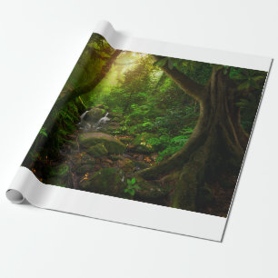 Papier Cadeau jungle tropicale asiatique, sol, amazone, asie