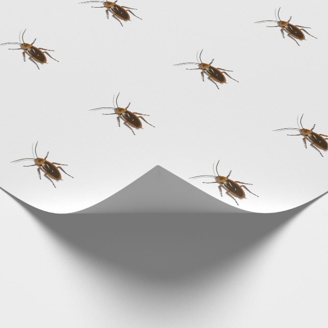 Papier Cadeau Kafka (Coin)