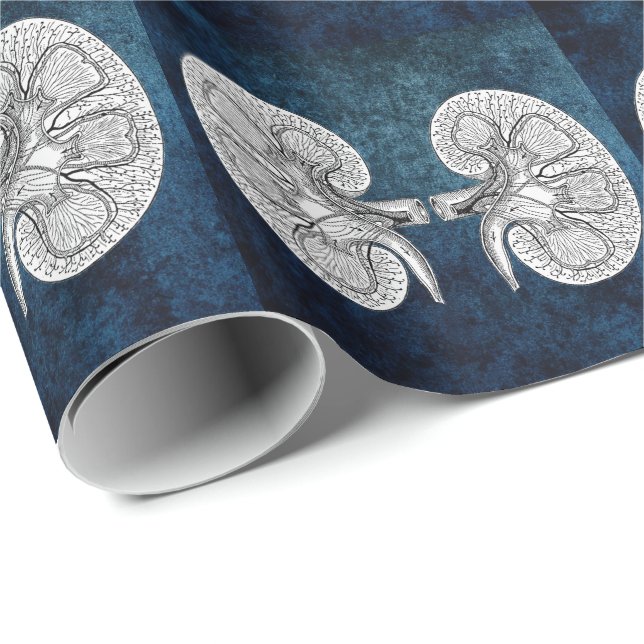 PAPIER CADEAU KIDNEY 2 (Coin rond)
