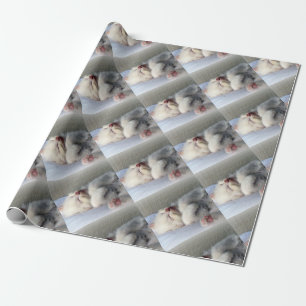 Papier Cadeau Kitten endormi