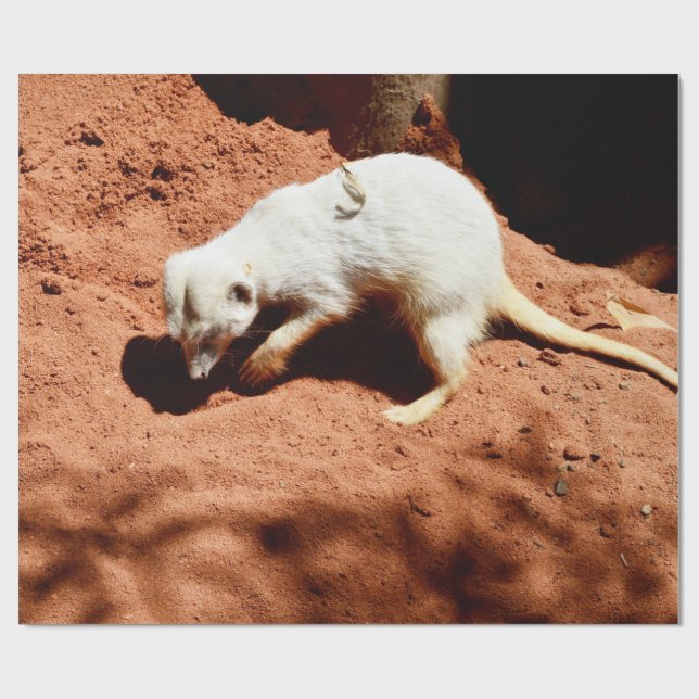 Papier Cadeau La forêt de la nature : Blancs de Meerkat creuser  (Plat)