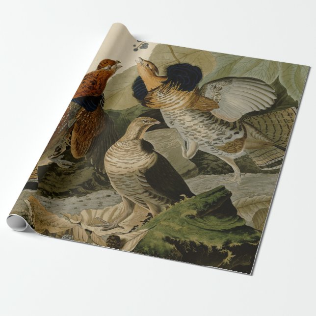 Papier Cadeau La peinture d'Audubon d'un trio de grouse de (Déroulé)