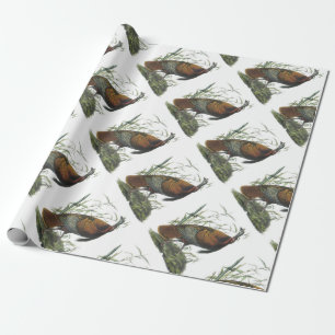 Papier Cadeau La Turquie sauvage par Audubon