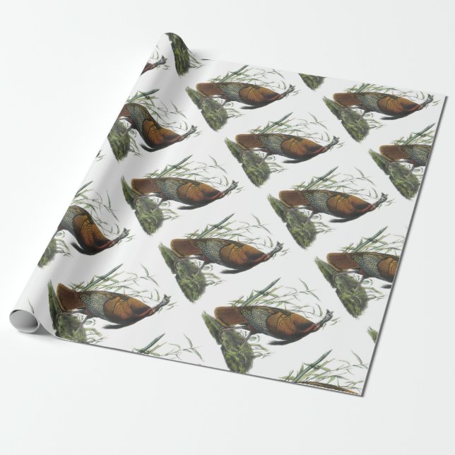 Papier Cadeau La Turquie sauvage par Audubon (Déroulé)