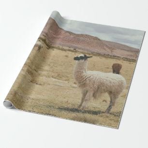 PAPIER CADEAU LAMA BLANC EN GRASS BROWN