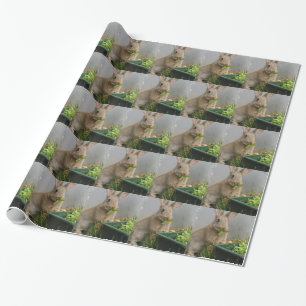 Papier Cadeau Lapin