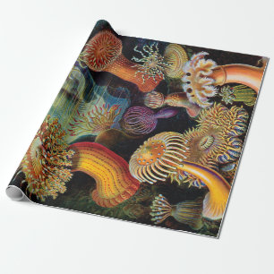 Papier Cadeau L'art de la nature par Ernst Haeckel