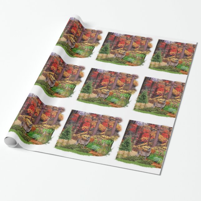 Papier Cadeau Le cerf de Virginie dans les bois / Saison d'autom (Déroulé)