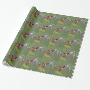 Papier Cadeau Le colibri Rufous sur sauvage s'est levé