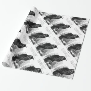 Papier Cadeau Le Corbeau par Edgar Allen Poe