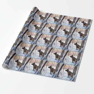 Papier Cadeau Le Malinois Belge Laisser Neige Noël