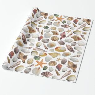 Papier Cadeau Le papier d'emballage de collecteur de Shell