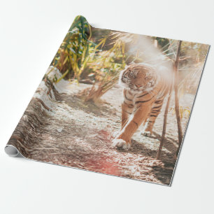 PAPIER CADEAU LE TIGRE DE BROWN DANS UNE TAUPE DE WALKING