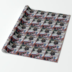 Papier Cadeau Leçons de lecture nounours