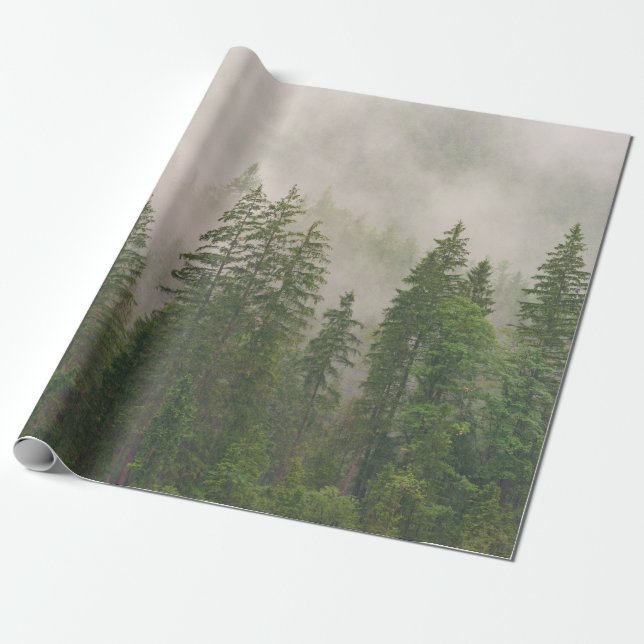 Papier Cadeau Les arbres de la forêt de Foggy (Déroulé)
