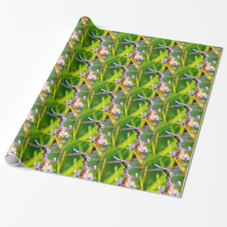 Papier Cadeau libellule turquoise et violette