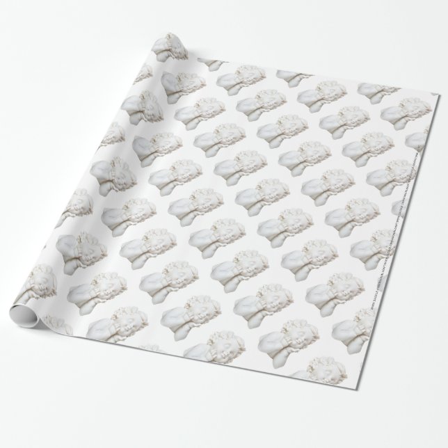 Papier Cadeau Ligne blanche (Déroulé)