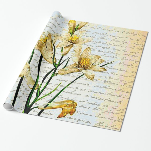 Papier Cadeau lilies et script (Déroulé)