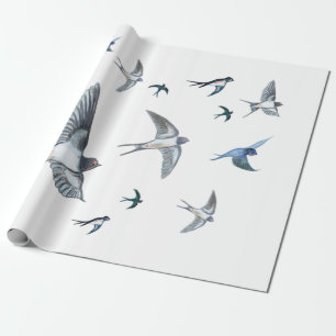 Papier Cadeau L'Illustration De L'Avalière Volante