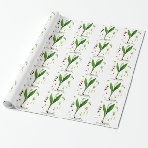 Papier Cadeau Lily de la Vallée