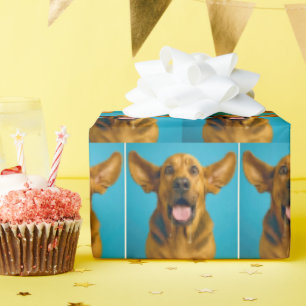 Papier Cadeau Limier bavant avec expression surprise