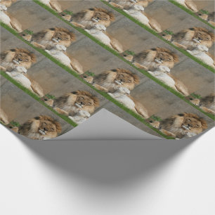 Papier Cadeau Lion et agneau paisibles