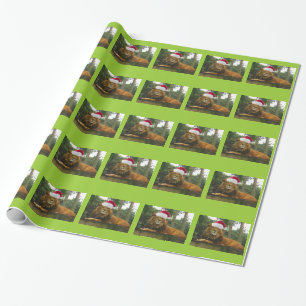 Papier Cadeau Lion utilisant le casquette de Père Noël pour Noël