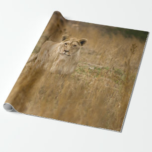 PAPIER CADEAU LIONNEUR DANS LA GRASSE