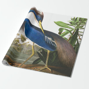 Papier Cadeau Louisiana Heron par John James Audubon