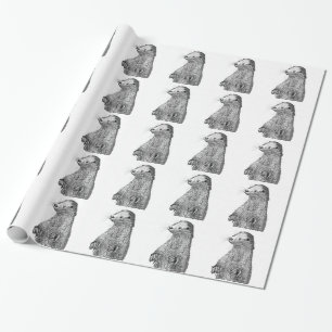 Papier Cadeau Loutre