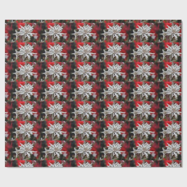 Papier Cadeau Lovely Edelweiss Leontopodium nivale (Plat)