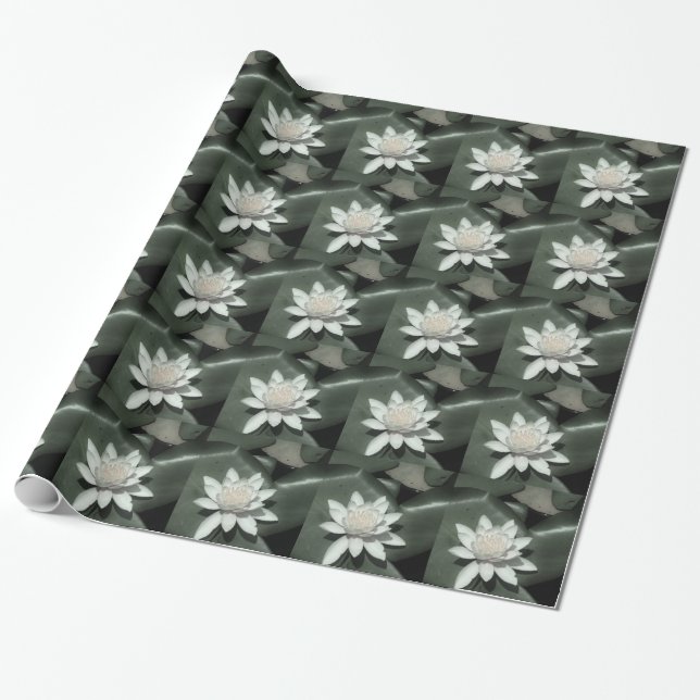 Papier Cadeau lumière blanche fleur de lotus nénuphar (Déroulé)