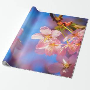 Papier Cadeau Lumière Du Soleil Sur Les Fleurs Sakura