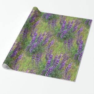Papier Cadeau Lupines Galore...