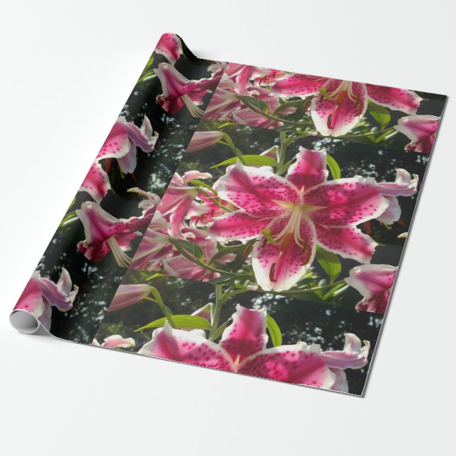 Papier Cadeau Lys roses fleurs tropicales roses rose (Déroulé)